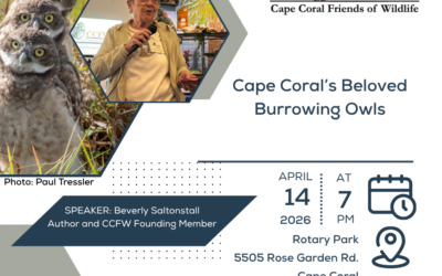 Join CCFW for April’s General Meeting Featuring Beverly Saltonstall