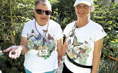 The Tom Allen Memorial Butterfly House at Rotary Park is a popular attraction