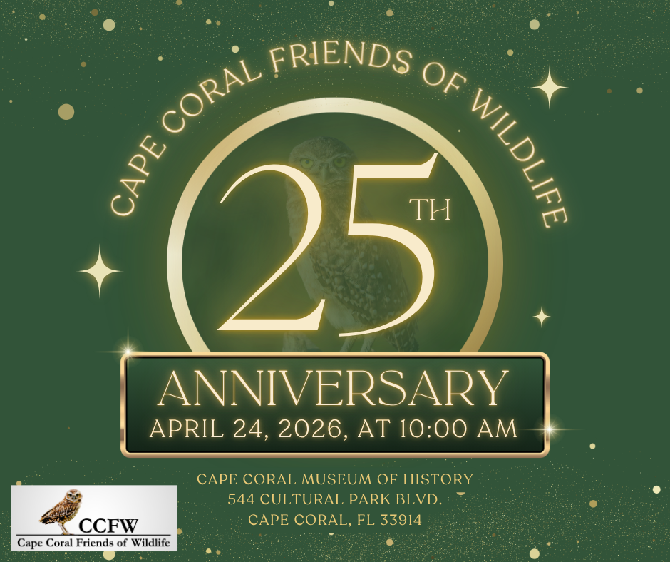 CCFW 25th Anniversary flier