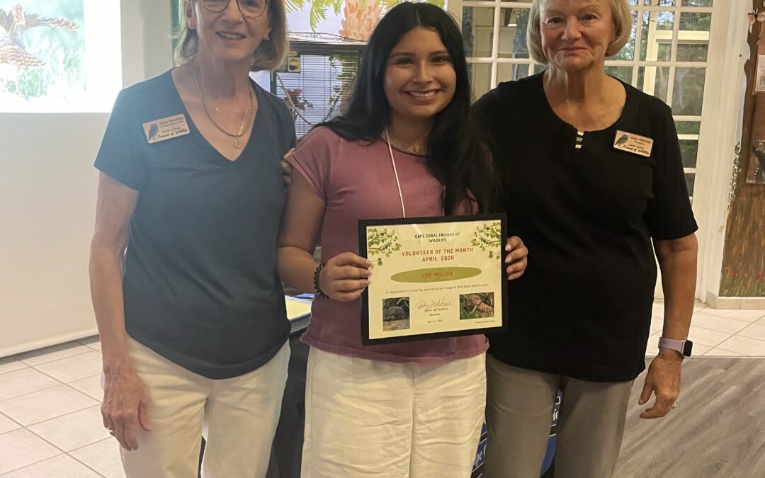 Volunteer of the Month – April 2026