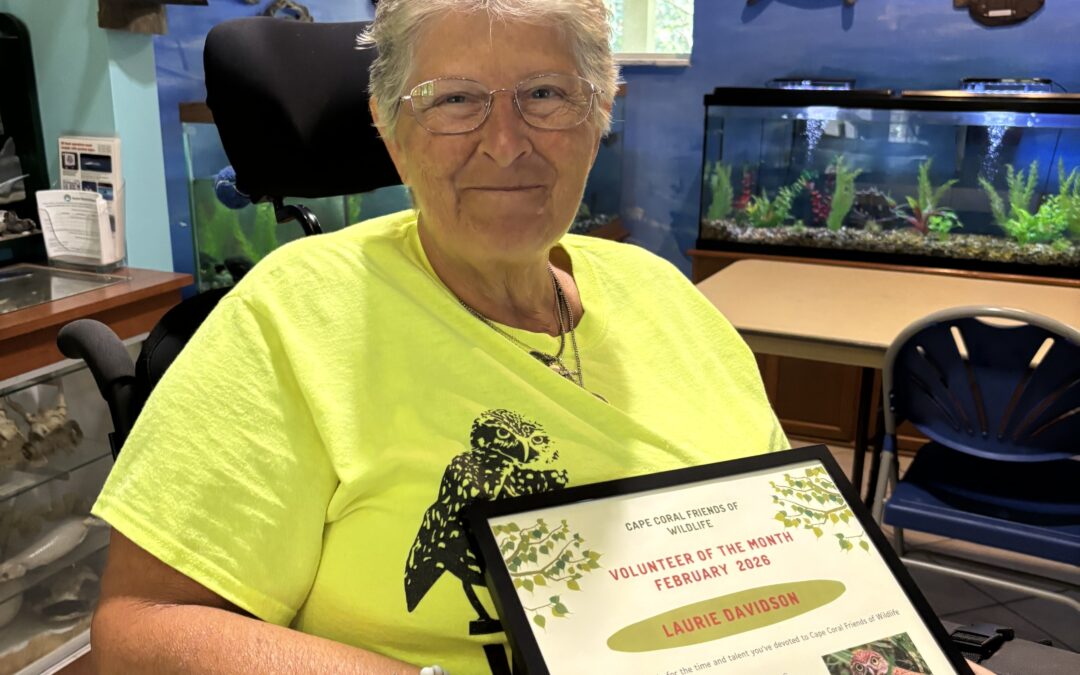 Volunteer of the Month – February 2026