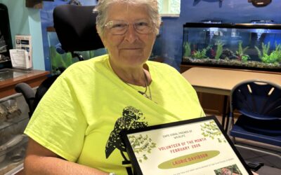Volunteer of the Month – February 2026