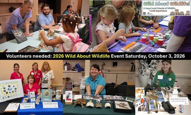 2026 Wild about Wildlife flier