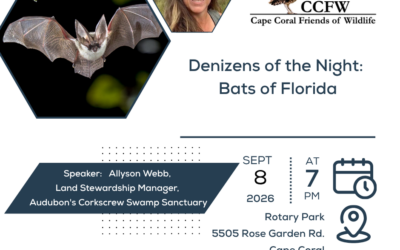 Join CCFW for September’s General Meeting Featuring Allyson Webb