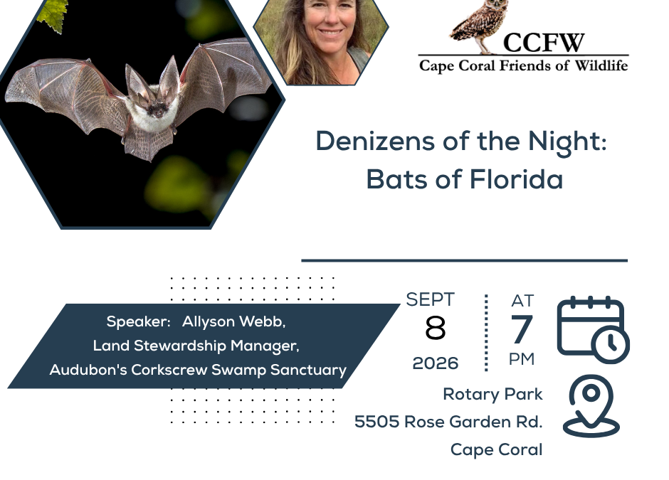 Join CCFW for September’s General Meeting Featuring Allyson Webb
